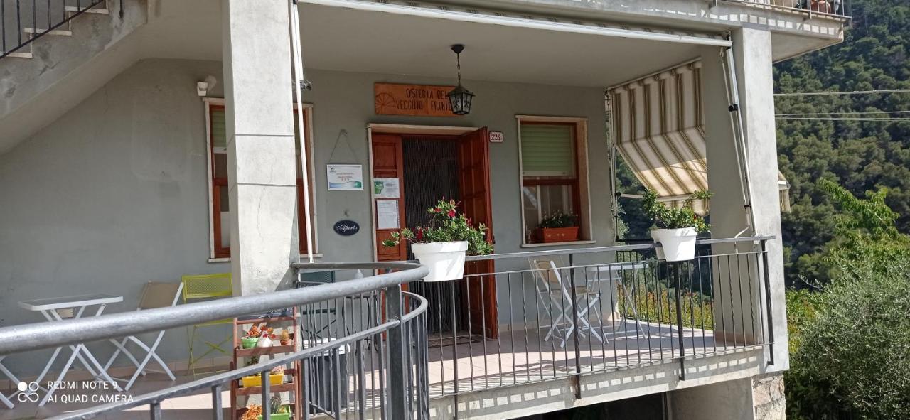 Agriturismo Vecchio Frantoio Villatella Exterior foto
